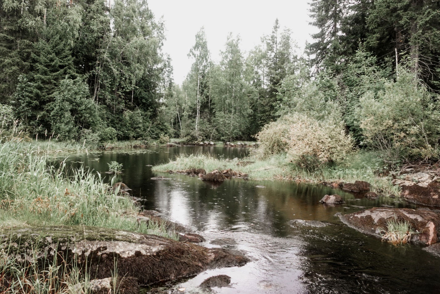 Ihan Ylöjärvellä: Kuttuniskan lenkki ja Karjulanjoki Kurussa 
