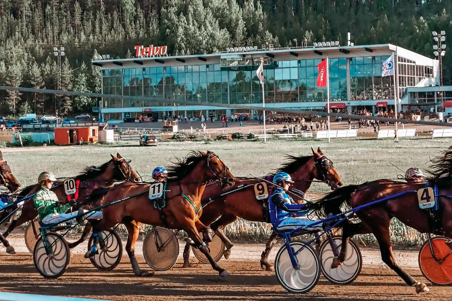 Visit Ylöjärvi – Ylöjärven matkailulehti 2026. Kuninkuusravit Teivossa. Visit Ylöjärvi – Ylöjärven matkailulehti 2026. Kuninkuusravit Teivossa.
